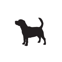 Beagle-Harrier