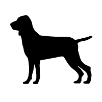 Burgos Pointer
