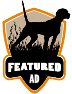 Featured Ad