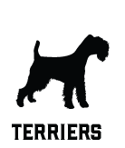terriers-icon