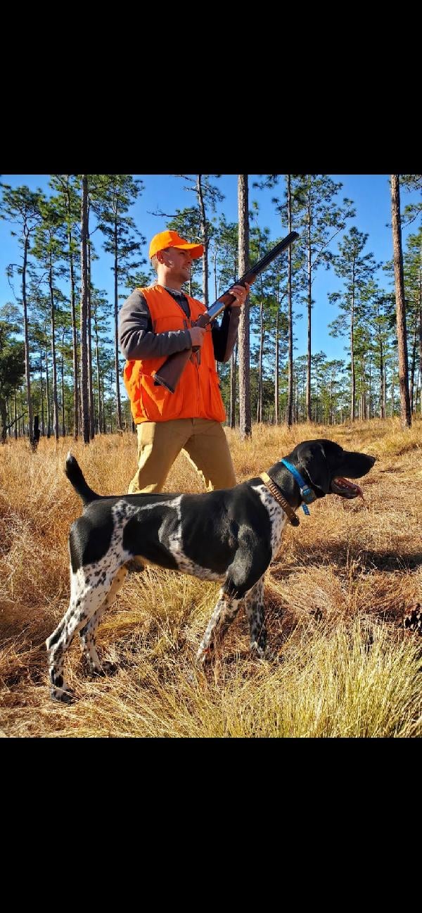 Featured Gun Dog Ad of the Day