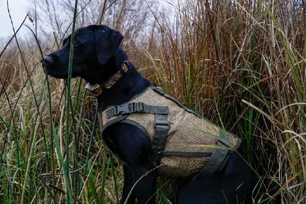 Field Armor V2 Waterfowl Vest Review