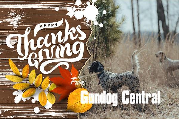 Wishing you a Happy Thanksgiving from our field to yours!