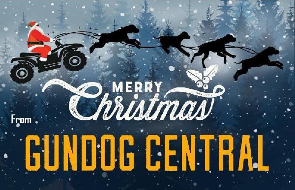 Merry Christmas and Happy New Year!