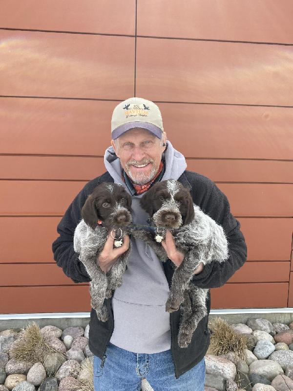 Featured Gun Dog Ad of the Day
