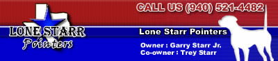 Lone Starr Pointers