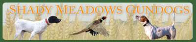 Shady Meadows Gundogs