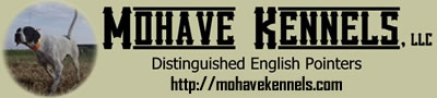 Mohave Kennels