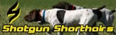 Shotgun Shorthairs - Shotgun Shorthairs is committed to raising top-quality German Shorthair Pointers with outstanding hunting and/or show ability.