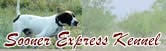Sooner Express Kennel - Sooner Express Kennel is one of the largest breeders of Elhew Pointers in the country.