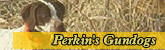Perkins Gundogs - Perkin's Gundogs is a professional gun dog training kennel, located in Kentucky.