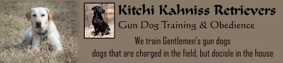 Kitchi Kahniss Retrievers 