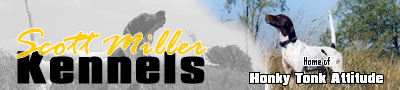 Scott Miller Kennels