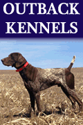 Banner Ad