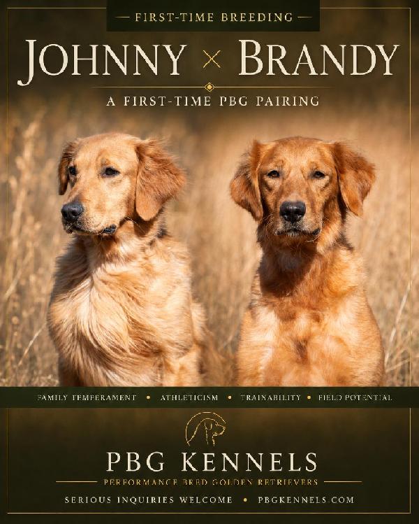 THE BEST IN PERFORMANCE GENETICS Golden Retriever