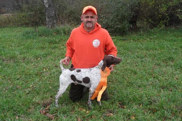 CHAMPION GSP PUPPIES German Shorthaired Pointer