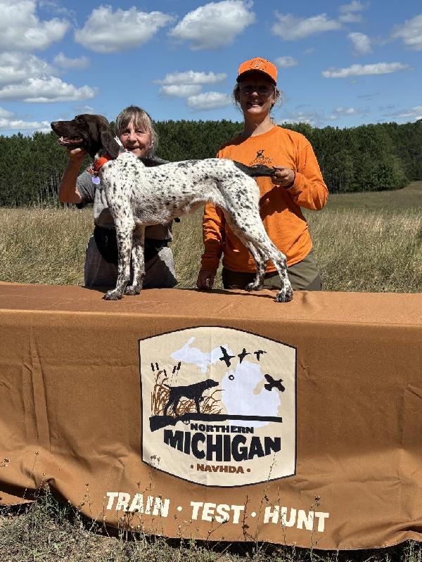 EXCELLENT NOSE PUPPIES! German Shorthaired Pointer
