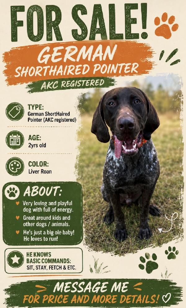 GERMAN SHORTHAIRED POINTER German Shorthaired Pointer