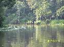 Over 3300 Acres