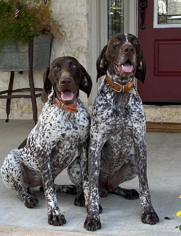 COLT AND MAX