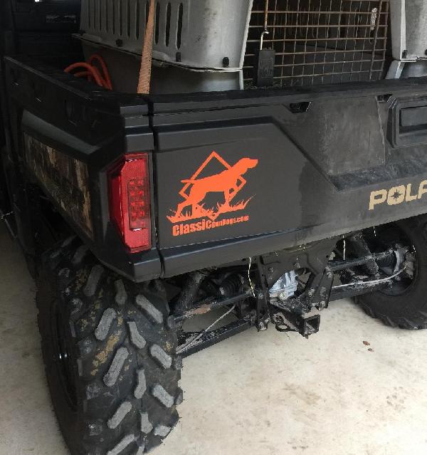 CLASSIC GUNDOGS