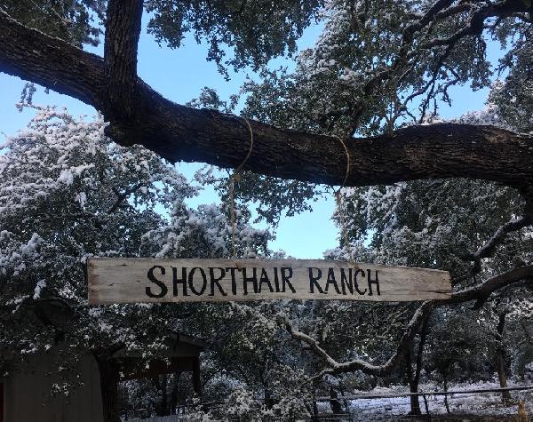 SHORTHAIR RANCH