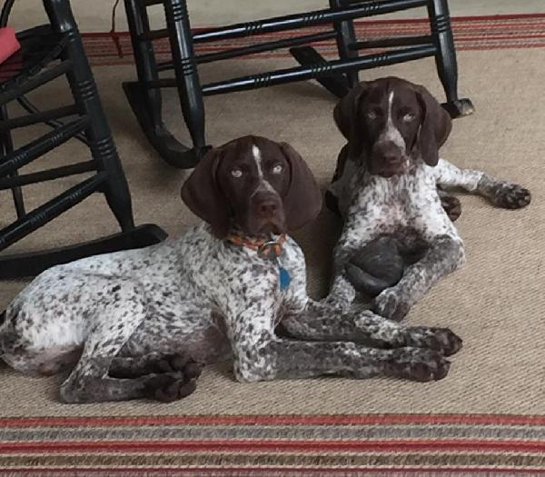 MAX AND BOONE