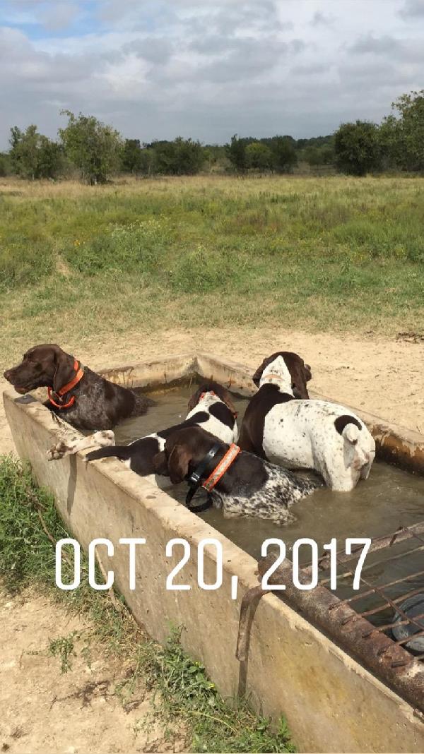 COOLING DOWN
