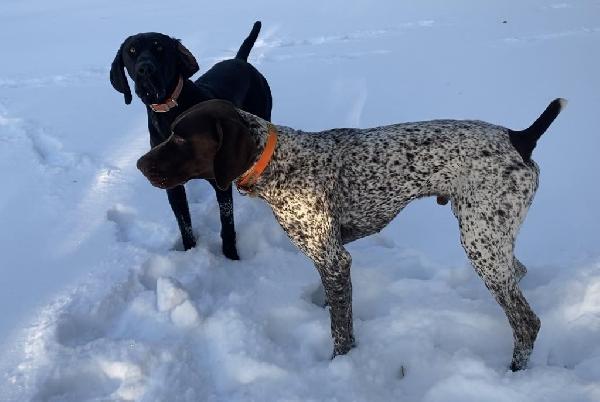 SNOW DAY