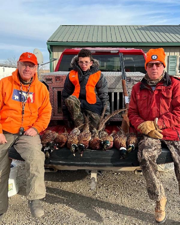 IOWA PHEASANT