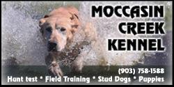 MOCCASIN CREEK KENNEL MOCCASIN CREEK KENNEL