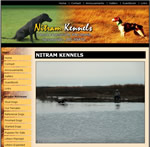 ALL OF OUR DOGS HERE AT NITRAM ARE HUNTED AND MOST ARE TESTED IN HUNT TESTS