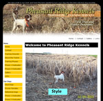 Professional Gundog Training