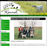 Walking Field Trial Dogs and Class Gun Dogs - Producing True Wild Bird Dogs!!!