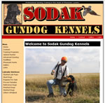 Labrador Retrievers