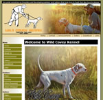 English Pointers