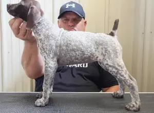 SELECTIVE BREEDING AT ITS FINEST SELECTIVE BREEDING AT ITS FINEST