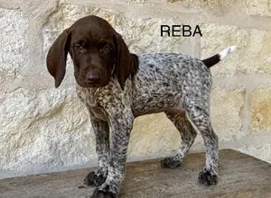 MILLIE X MAX - REBA-SARA-JOSIE MILLIE X MAX - REBA-SARA-JOSIE