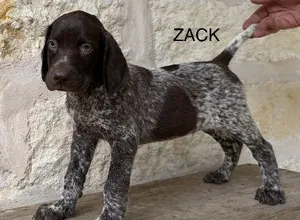 PABLO X SAGE / ZACK PABLO X SAGE / ZACK