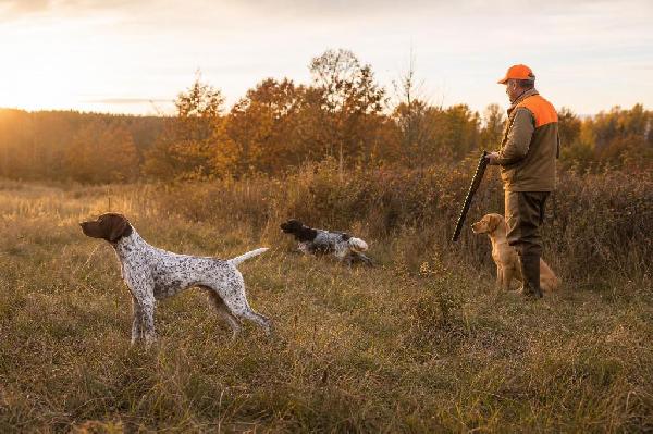 Pointer vs Flusher vs Retriever