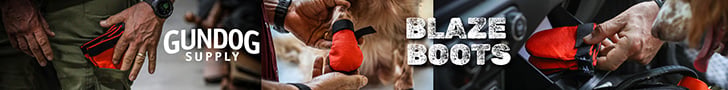 Banner Ad