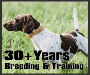 Banner Ad